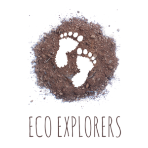 Eco Explorers