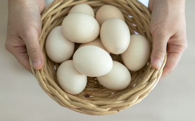 Are you putting all your marketing eggs in one basket?